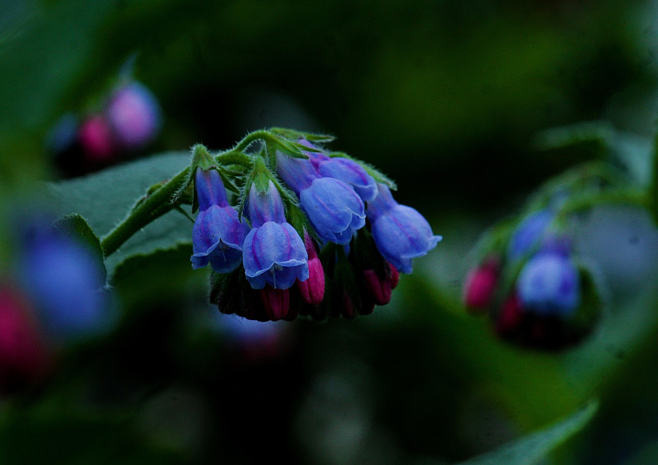 手軽にできるニキビ対策はどれが効果的？