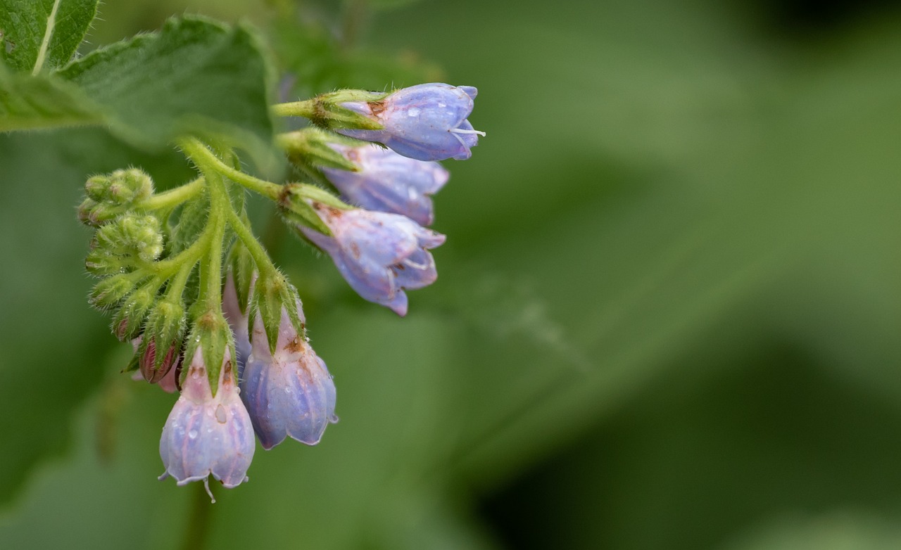 大人ニキビとたるみを防ぐ肌のストレス対策は？
