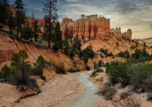 大人ニキビとたるみを改善するエステと皮膚科の違いは？